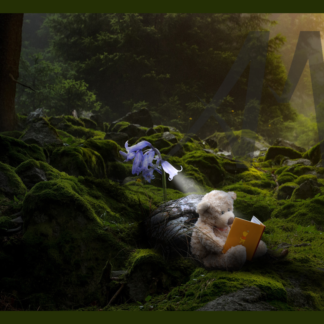 Fantasy with toy bear reading in woods