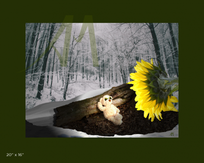 Bearly Spring bear and sunflower in snow